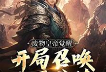 小说废物皇帝觉醒,开局召唤大雪龙骑主角辰渊免费阅读-推文官