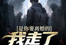 是你要离婚的,我走了你又哭?(主角陈潜柳如烟)完结版免费阅读-推文官