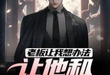 老板让我想办法,让他和老婆离婚(秦羽)完结版免费阅读-推文官