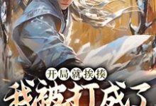 完结版开局就挨揍,我被打成了武林至尊在哪免费看,叶青小说在线阅读-推文官