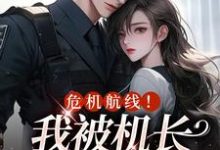 危机航线!我被机长夺心了热门小说(鹿灵岑屹楼)在线阅读无弹窗-推文官