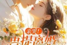 亲哭！再提离婚，霍总彻底失控了热门小说(苏暖霍云琛)在线阅读无弹窗-推文官