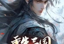 重生三国,开局黄巾起义热门小说(张新)在线阅读无弹窗-推文官