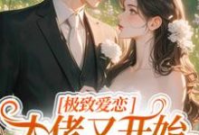 小说极致爱恋,大佬又开始攻心了主角季染傅京渊免费阅读-推文官