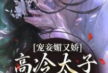 宠妾媚又娇，高冷太子为她失了魂精彩章节阅读(宁宁萧璲)免费阅读大结局-推文官