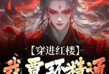 穿进红楼,我贾环精通朝堂争斗免费阅读,贾环大结局无弹窗-推文官