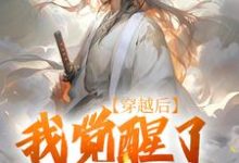 小说穿越后,我觉醒了武道系统主角陈心安免费阅读-推文官