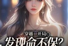 求助这本穿成龙傲天的恶毒小姨小说在哪里可以看完结版-推文官
