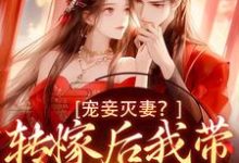魏芷殊在线阅读,宠妾灭妻?转嫁后我带皇子夺王位小说完结版章节-推文官