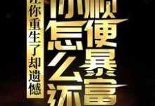 小说让你重生了却遗憾，你怎么还顺便暴富了？主角李毅唐雪免费阅读-推文官
