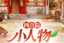 四合院:小人物许大茂热门小说(许大茂娄晓娥)在线阅读无弹窗-推文官