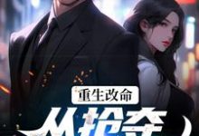 重生改命：从抢夺大嫂开始（林白顾晴）最新章节在线阅读-推文官
