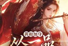 主人公是卫小宝的小说黄袍加身，从一品侯爵开始免费阅读-推文官