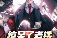 主人公是林风的小说惊呆了老铁，他又被提拔了免费阅读-推文官