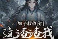 娘子救救我!这渣渣我虐不完大结局,司寻小说无广告阅读-推文官