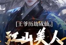 主角是陆澈的小说王爷历劫成仙，江山美人全在手在哪免费看-推文官