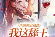 小说开局绑定系统,我这舔王成团宠主角白复还免费阅读-推文官