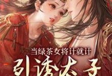 求助这本当绿茶女将计就计,引诱太子沦陷后小说在哪里可以看完结版-推文官