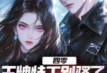 四零：王牌特工别骚了，敌军都怕了热门小说(柳龙)在线阅读无弹窗-推文官