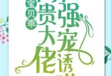 简以宁陆怀瑾小说的结局在哪可以看,宝贝乖:高贵大佬在强宠诱哄免费阅读完结版-推文官
