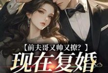 安婳肖政小说的结局在哪可以看，前夫哥又帅又撩？现在复婚来得及吗免费阅读完结版-推文官