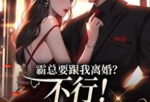 霸总要跟我离婚?不行!我身无分文(覃笙)最新章节免费阅读-推文官