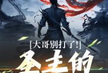 主角是陈寻的小说大哥别打了!圣主的心都碎了在哪免费看-推文官