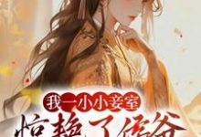 我一小小妾室,惊艳了侯爷很合理吧热门小说(叶青芷谢晋)在线阅读无弹窗-推文官