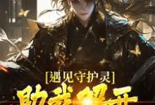 遇见守护灵，助我解开父亲的秘密（林风）最新章节免费在线阅读-推文官