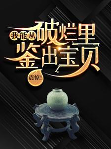 陆飞小说免费阅读最新章节列表，震惊！我能从破烂里鉴出宝贝！小说在线看