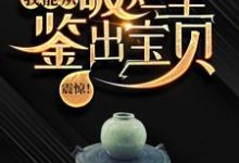 主人公是陆飞的小说震惊!我能从破烂里鉴出宝贝!免费阅读-推文官