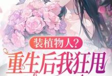 主人公是云冉的小说装植物人?重生后我狂甩渣男耳光免费阅读-推文官