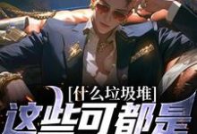 小说什么垃圾堆?这些可都是科技神器!主角程乞免费阅读-推文官