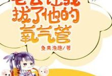 小说猛惊醒，老公让我拔了他的氧气管主角苏夏沈呈晔免费阅读-推文官