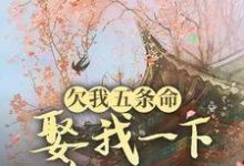 欠我五条命,娶我一下怎么了?小说资源求分享,欠我五条命,娶我一下怎么了?玉沁宋祁在线阅读-推文官
