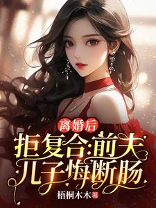 离婚后拒复合：前夫儿子悔断肠免费阅读，沈寒星大结局无弹窗