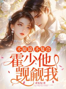 跪求主角是苏眠的小说书名叫什么