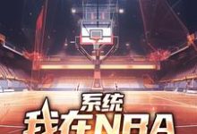 系统:我在NBA把把都超神(林浩科比)完结版免费阅读-推文官