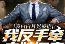表白白月光被拒,我反手牵走她闺蜜免费阅读,周恒尹梦冉大结局无弹窗-推文官
