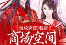 林书棠段砚洲在线阅读，流放逃荒？我带商场空间活的舒服嘞小说完结版章节-推文官