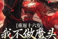 重返十六岁，我不做魔头改修仙了精彩章节在线免费阅读（晏琅）-推文官