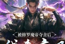 被修罗魔帝夺舍后,我杀疯了免费阅读,宋萧然大结局无弹窗-推文官