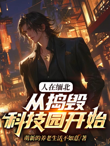 人在缅北，从捣毁科技园开始精彩章节在线免费阅读（韩潇）