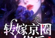 精彩章节阅读转嫁京圈大佬后，前任悔不当初(苏婉禾司北琛)免费小说在线看-推文官