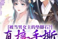 云子娆墨苍澜小说的结局在哪可以看,被当男女主的垫脚石?直接手撕剧本免费阅读完结版-推文官