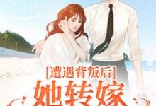 遭遇背叛后,她转嫁大佬赢麻了热门小说(叶千纯陆瑾川)在线阅读无弹窗-推文官