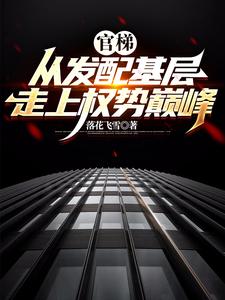 官梯：从发配基层走上权势巅峰（杨飞方婷）完结版免费阅读