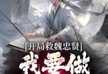 开局救魏忠贤，我要做宫斗冠军精彩章节在线免费阅读（朱由检）-推文官