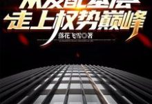 官梯:从发配基层走上权势巅峰免费阅读(杨飞方婷)小说免费读最新章节-推文官