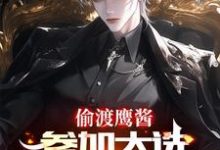 赵峰最新章节列表偷渡鹰酱，参加大选不过分吧？免费阅读-推文官